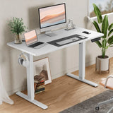 Tuffdesk 48"x24" Adjustable Height Electric Standing Desk