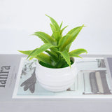 Tuffdesk Mini Artificial Bonsai Plant for Table Decor