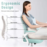 Tuffdesk Ergonomic Office Chair with Lumbar Support