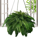 Tuffdesk Artificial Boston Fern Leaves for Home and Party Decor